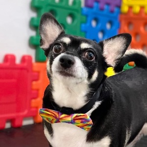 Fundraising Page: Kellianne Ganter